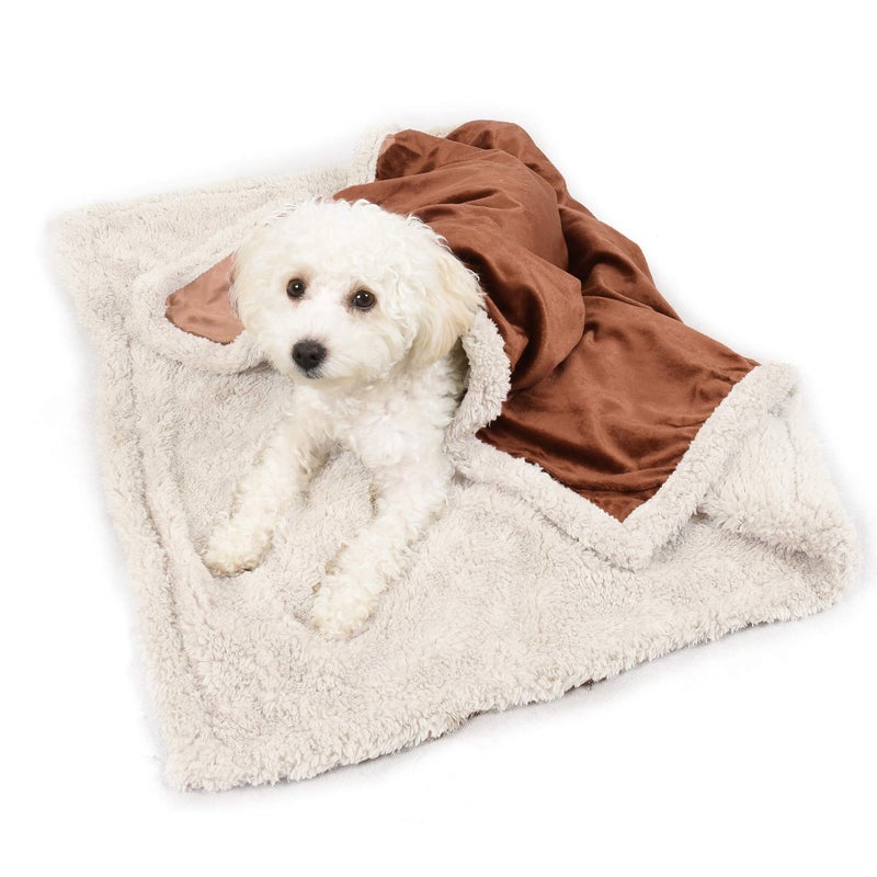 Kritter Planet Dog Blankets for Small Dogs, Soft Puppy Blanket, Pet Blankets for Cats, Lightweight & Washable, Perfect for Dog Beds, Car Seats, Creat, 30x40 inches - Image 1